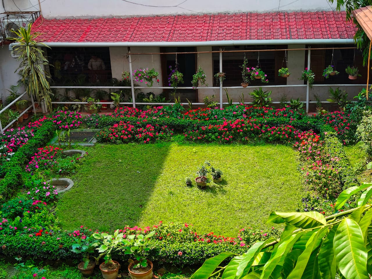College image